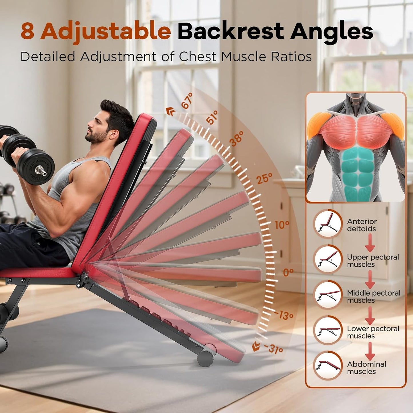 Basic Weight Bench for Home Gym, Foldable Workout Bench with 8 Backrests, 660LBS Weight Capacity Adjustable Bench